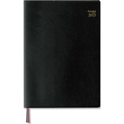 日付入ダイアリー 2013年 アポイント デスク フォーカス A5 E1057
