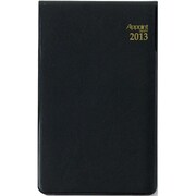 日付入ダイアリー 2013年 アポイント フォーカス 縦開 E1059