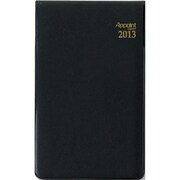 日付入ダイアリー 2013年 アポイント ベーシック 縦開 E1301