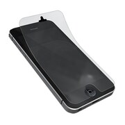 IPP-TSGGN-03 [iPhone 5用 スクリーン保護フィルム ラメ入り]