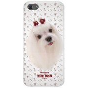 NIP-HCD01 [iPhone 5用 The Dog ケース マルチーズ]
