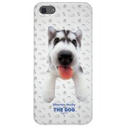 NIP-HCD02 [iPhone 5用 The Dog ケース シベリアンハスキー]