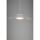 LEDペンダント 10Wタイプ PE-189CL