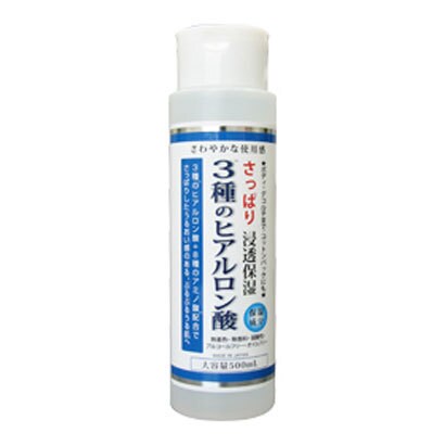 ERローションHS ヒアルロン酸タイプ（さっぱり） [500ml]
