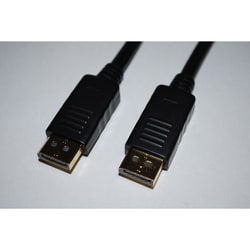 外付ケーブル DP200