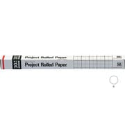 プロジェクトロール 50mm方眼 白 PR5WH