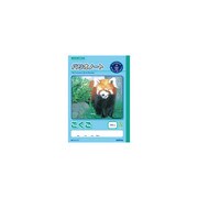 パリオノート 国語 セミB5判（学用3号） こくご　18マス GA10-2