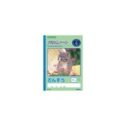 パリオノート 算数 セミB5判（学用3号） さんすう　14マス GA3