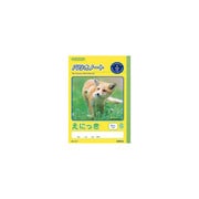 パリオノート セミB5判（学用3号） えにっき　9マス　たな付 GA67
