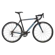 MAJOR JAKE FRAME CARBON 53 13KNF320