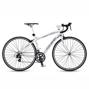 LGS-CR07 LG WHITE450 13LG-205