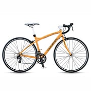 LGS-CR07 ORANGE450 13LG-213