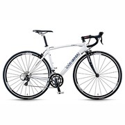 LGS-CEN LG WHITE460 13LG-257