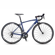 LGS-CEN MATTBLUE460 13LG-261