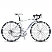 LGS-CR23 LG WHITE460 13LG-269