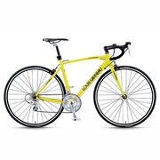 LGS-CR23 MATT NEON YELLOW500 13LG-274