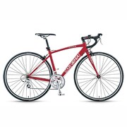 LGS-CR23 RED460 13LG-277
