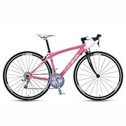 LGS-CTR W SAKURA PINK460 13LG-299