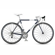 LGS-LCR DARK BLUE550 13LG-563