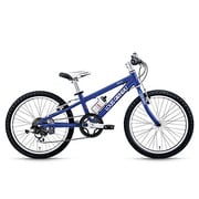 LGS-J206 BLUE250 13LG-595