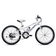 LGS-J206 LG WHITE250 13LG-596
