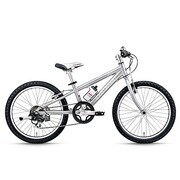 LGS-J206 SILVER250 13LG-598