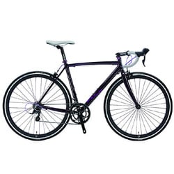FUJI ROUBAIX custom フジ　 ロードバイク 700C 徒然なるままにロードバイクのお話～FUJI ROUBAIX CUSTOM 2013
