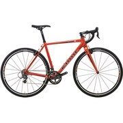 JAKE THE SNAKE ORANGE 49 13KNB313