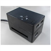 リチウムバッテリー付USBタップ 2AC 2USB 黒 HLI601BK4U