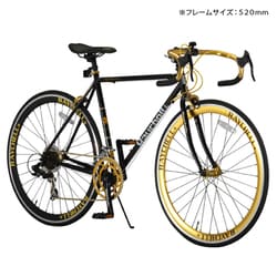 Raychell+(レイチェルプラス) 13720 R+713 GolDragon(ゴール