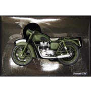 122133501 [1/12 トライアンフ TR6 1962 グリーン]