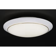 LEDシーリングライト AC500YC-G