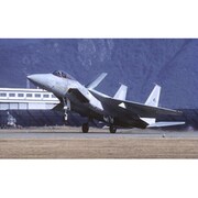 AC26 1/144 航空自衛隊 F-15J/DJ 78年度 [プラモデル]