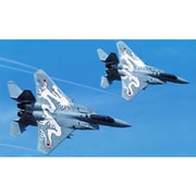 AC28 1/144 空自 F-15J 小松戦競 [プラモデル]