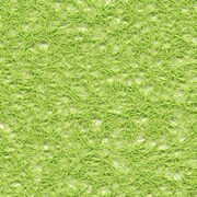 EN-003 Green [プレイスマット 園　グリーン]