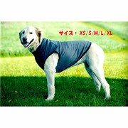 BFTSLG09 [虫よけTシャツ L グレー]