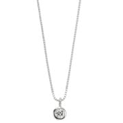 プラチナダイヤフクリンネックレス 0.05CT DTP05098P