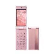 docomo STYLE series P-01E [ピンクゴールド]