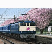ジグソー 48-710 桜とブルートレイン [300P（26×38cm）]