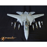 60023 [1/18 F-14A VF-154ブラックナイツ]
