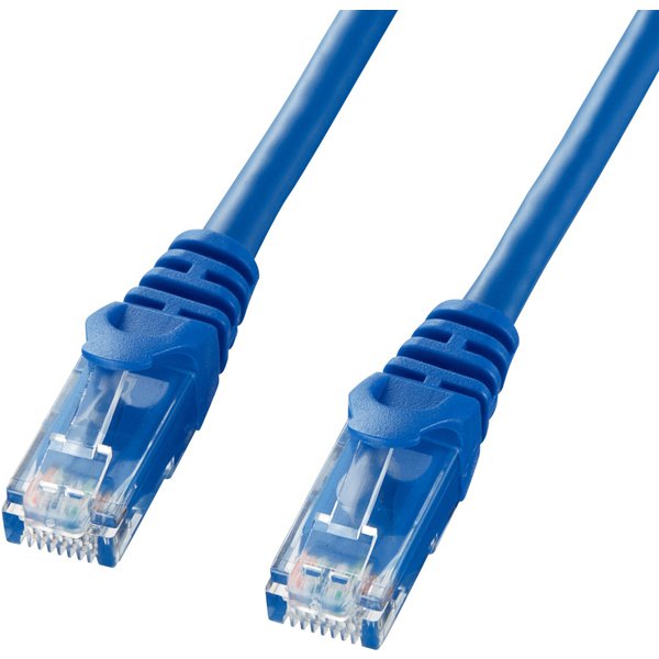 LANケーブル 10m CAT6 ブルー 爪折れ防止 PoE対応 より線 UTP ストレート結線 RJ45 LA-Y6-10BL