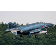 AC110 [1/144 空自 F-4EJ改 三沢]