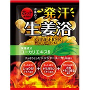 ホット バスソルト ジンジャーユーカリの香り 30g