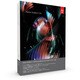 Audition CS6 日本語 Mac アップグレード版 [Mac CS6 ※Audition 3、Soundbooth CS5からのアップグレード]