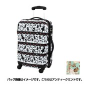 スーツケース 旅行日数目安:3~4泊 54L/63L(拡張時) TSAロック搭載 アンティークミント H0010T-58 117