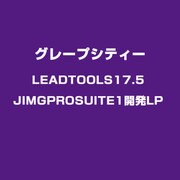 LEADTOOLS17.5JIMGPROSUITE1開発LP [ライセンスソフト]