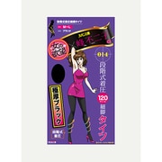 女の欲望×峰不二子 段階式着圧 細脚タイツ120デニール ブラック M-L