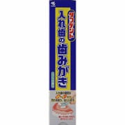 タフデント 入れ歯の専用歯みがき ミントの香り 95g