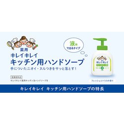 ヨドバシ.com - ライオン キレイキレイ 薬用キッチンハンドソープ 