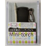 エクセルライト USB充電式ハンディライト ケース付き ブラック [小型ライト]